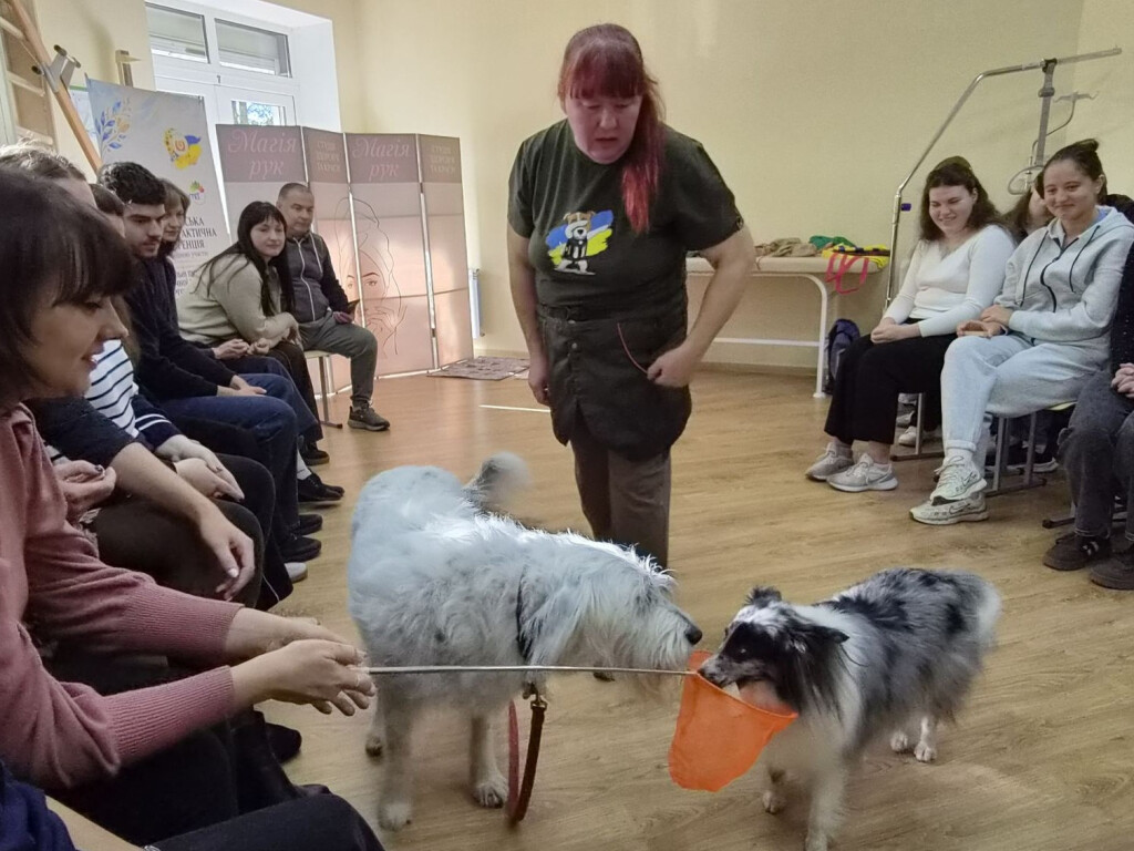 Каністерапія та людино-тваринна взаємодія у реабілітації